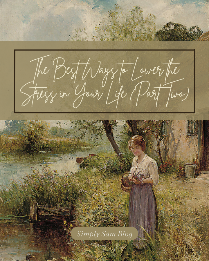 Painting of a woman at a river with the words "The Best Ways to Lower Your Stress"