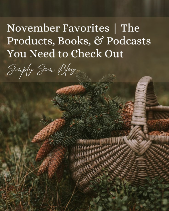 Basket with pine cones with the words "November Favorites | The Products, Books, & Podcasts You Need to Check Out."