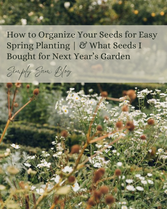 Garden with the words, "How to Organize Your Seeds for Easy Spring Planting."